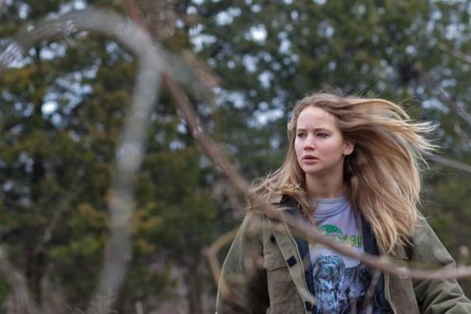 Jennifer Lawrence spelar den okuvliga Ree som brottas med en svart verklighet i filmen "Winter&apos;s bone". Bild: Nonstop Entertainment
