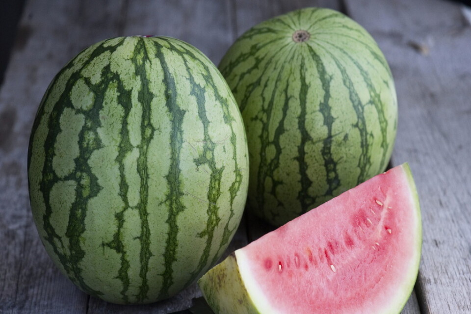 Gallagher var känd för sina vattenmeloner. Arkivbild.