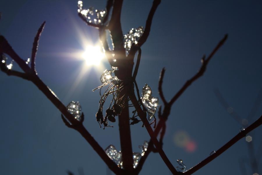 Vårbild. När solen skiner och det börjar bli plusgrader så att snön smälter, är det våren som är på väg. Foto: Elina Amby, Ulricehamn