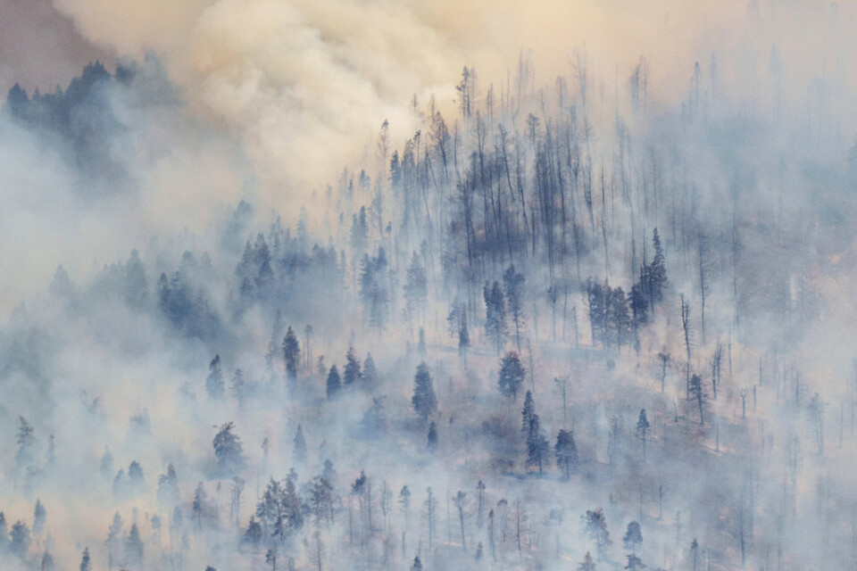 Rök från en annan skogsbrand i Utah i fjol. Arkivbild.