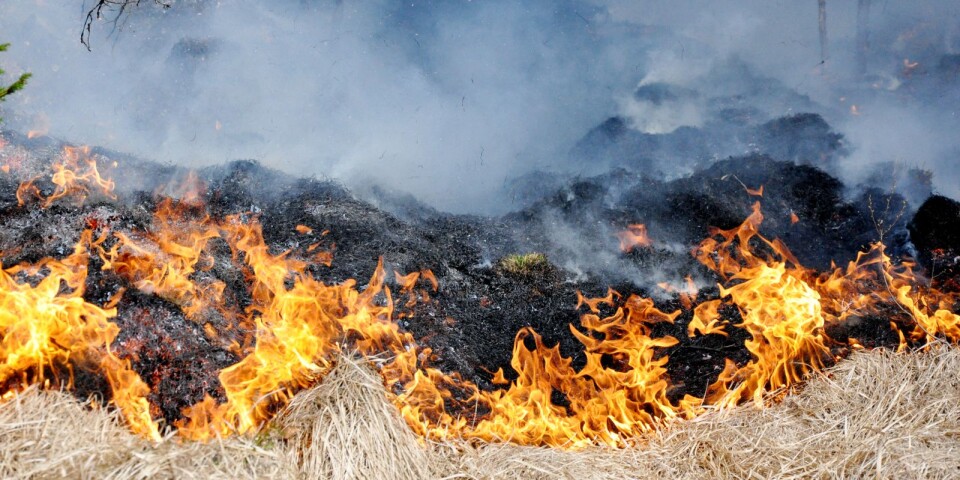 Paddlare upptäckte brand vid sjö – räddningstjänsten: ”Stor brandrisk i Sjuhärad”