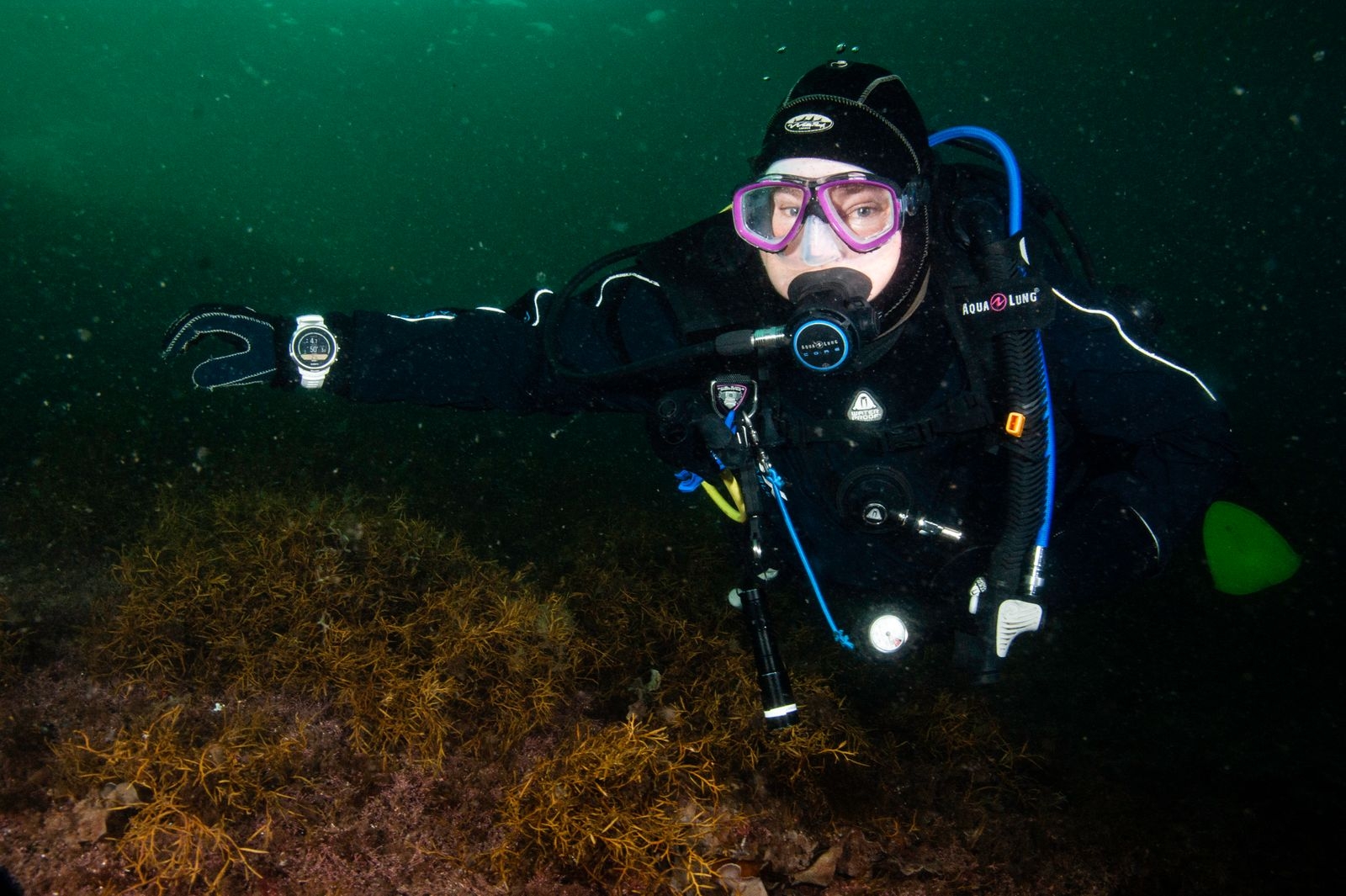 Annica dyker i Gullmarsfjorden på västkusten