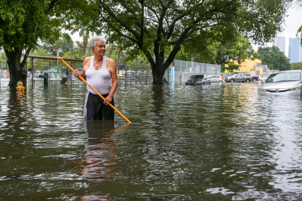 Området Little Havana i Miami översvämmades i helgen.