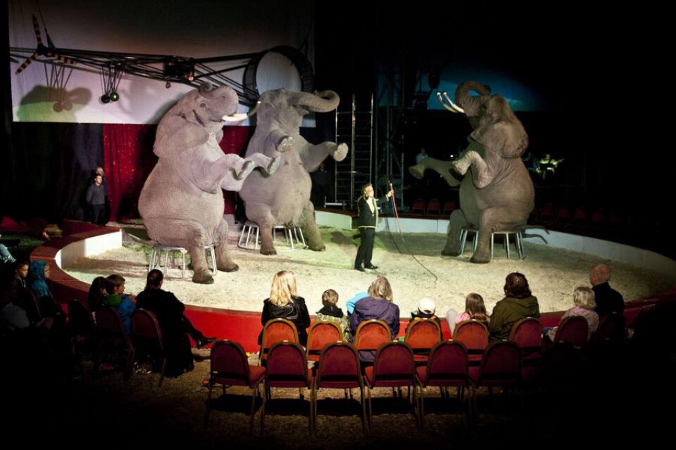 TUNGA ARTISTER. Elefanterna imponerade stort på barnen som även fick chans att sitta på en av dem i pausen.