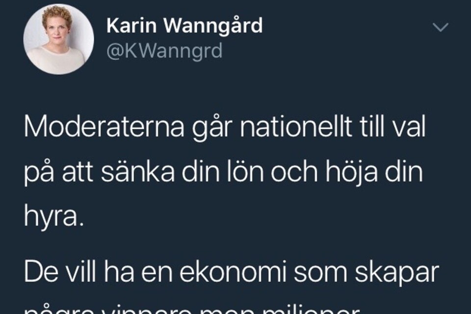 Det här tycker Socialdemokraternas förstanamn i Stockholms stad, Karin Wanngård, är en rimlig valrörelseretorik.