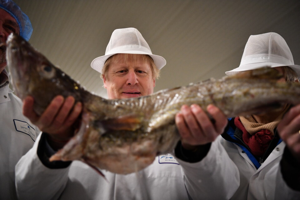 Storbritanniens premiärminister Boris Johnson besöker fiskmarknaden i Grimsby under sin valturné.