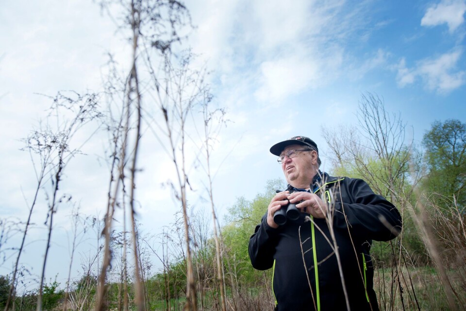 Evert Valfridsson is a bird expert. He has led rambles round Linnérundan for 15 years.