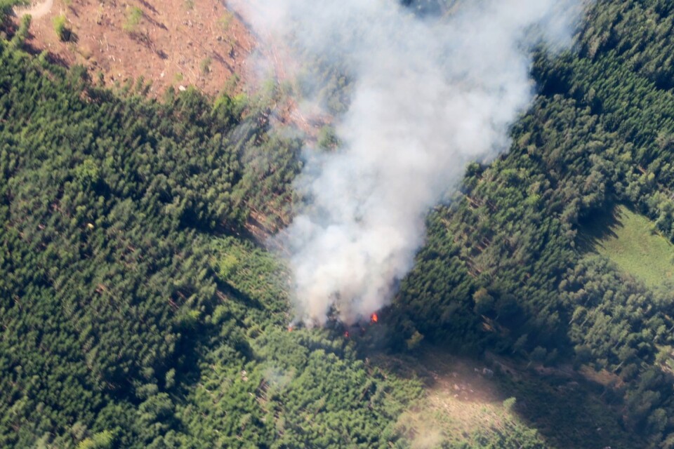 En stor skogsbrand utbröt i skogen där Jas-planet kraschade i Kallinge.