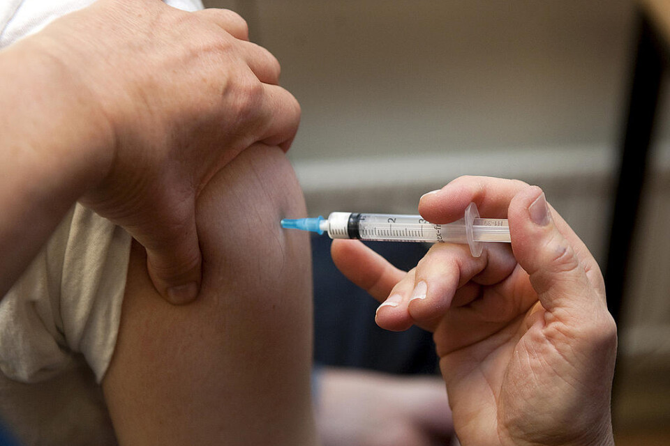 Nästan fem miljoner svenskar vaccinerades mot svininfluensan under den pågående epidemin, inte minst barn och unga.