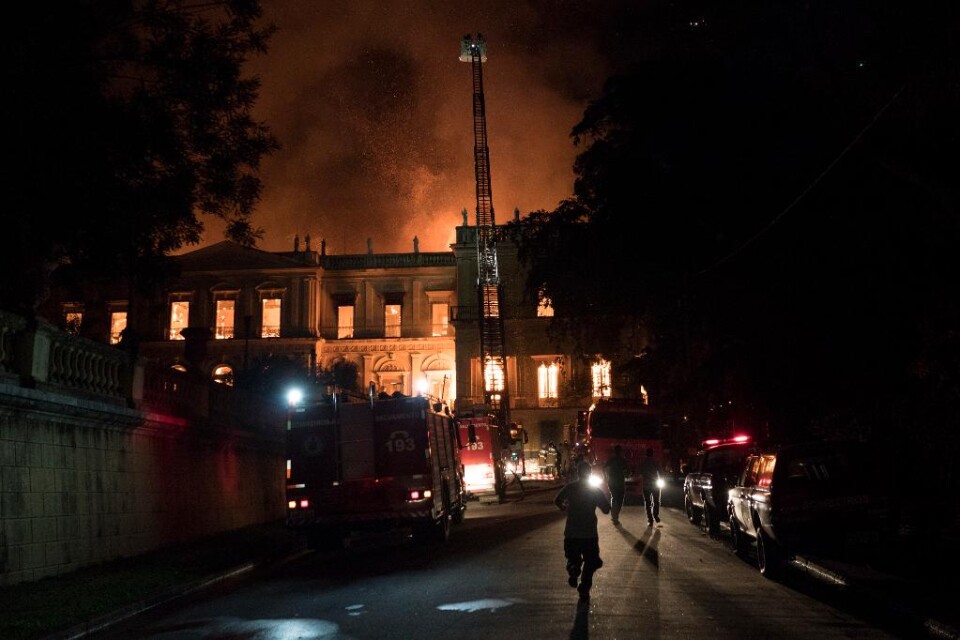 Brasiliens nationalmuseum i Rio de Janeiro har öppnat sin första utställning efter den stora brand som förstörde museet förra året. Museu Nacionals första utställning på över fyra månader visar fossiler och ben som hittats i Antarktis och bland föremål