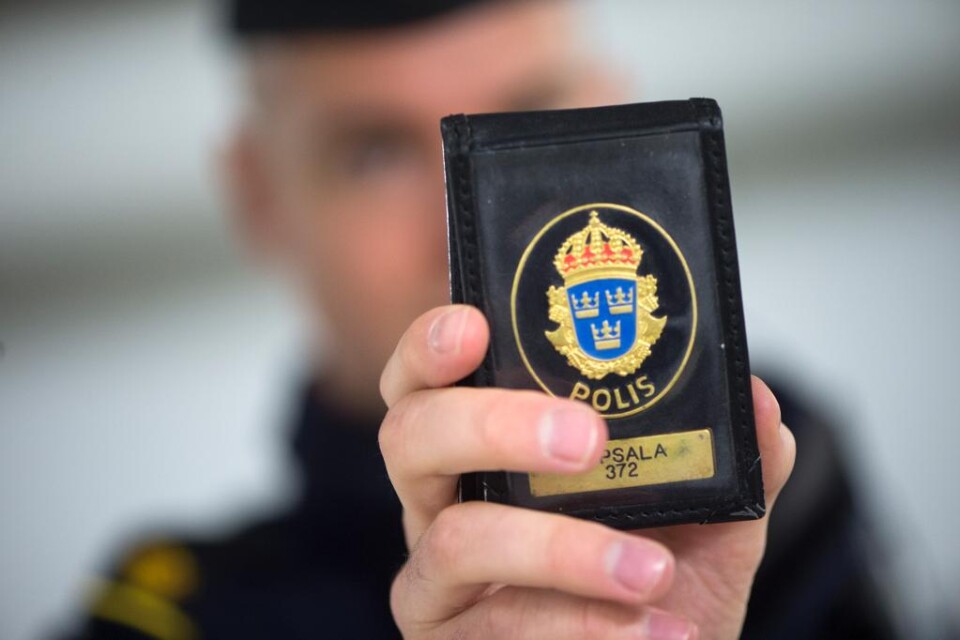 Två män som misstänks ligga bakom ett 100-tal ID-kapningar har gripits i nordvästra Skåne, uppger polisen. Männen, båda i 30-årsåldern, greps på tisdagen. Brotten männen misstänks för rubriceras som grovt bedrägeri och har pågått under en längre tid i h