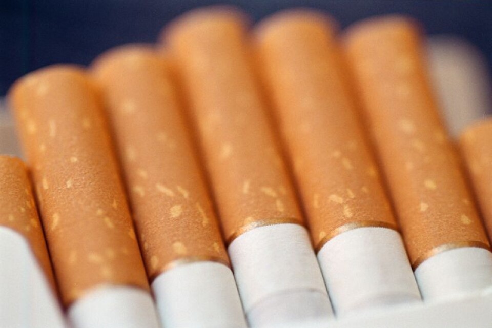 Om tipset till YA stämmer rör det sig om 15 000 limpor cigaretter som mannen hade i lasten.