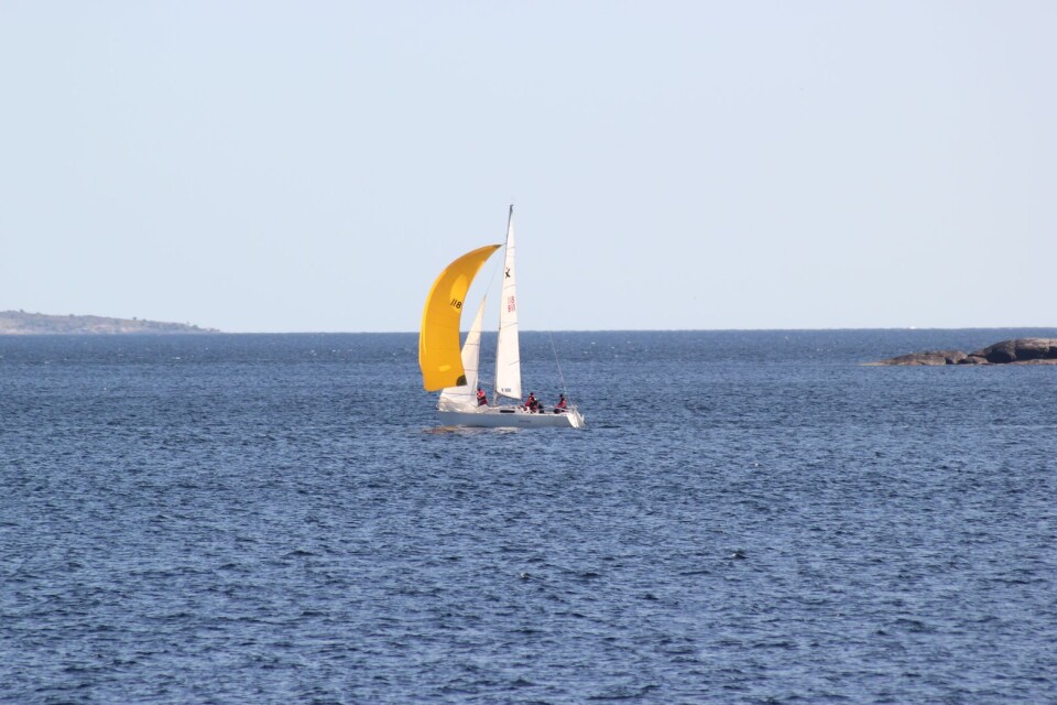 Niklas Lindhe från Karlshamns segelsällskap, här med segelbåten Joker, vann tävlingen Hanö runt.