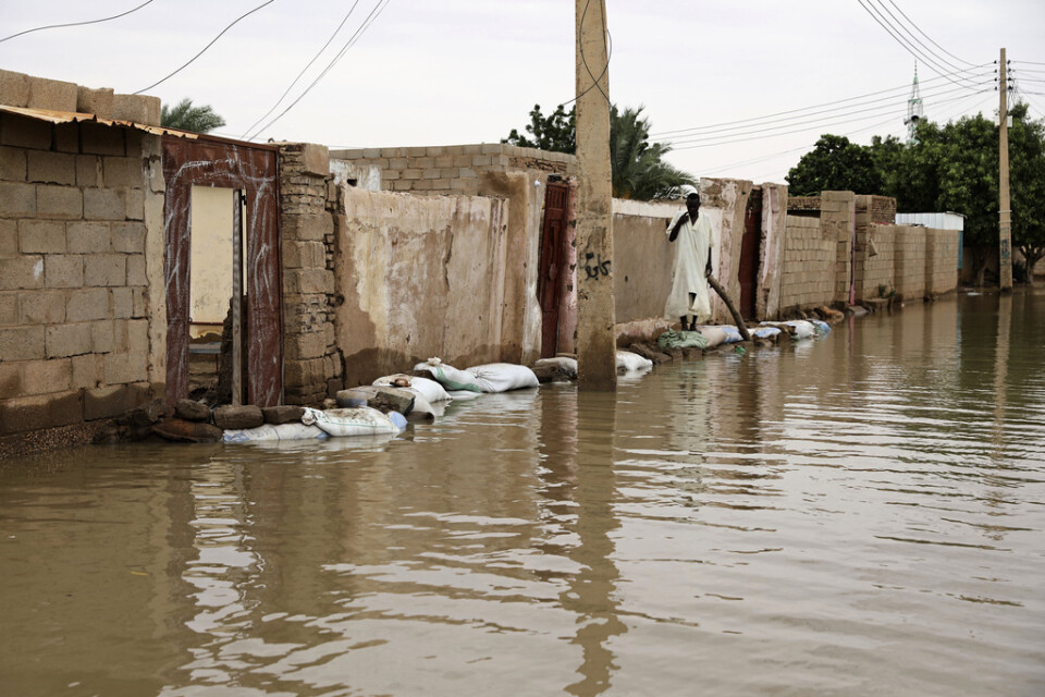Årets regnperiod i Sudan är ovanligt kraftig. Bild från staden Shaqilab.