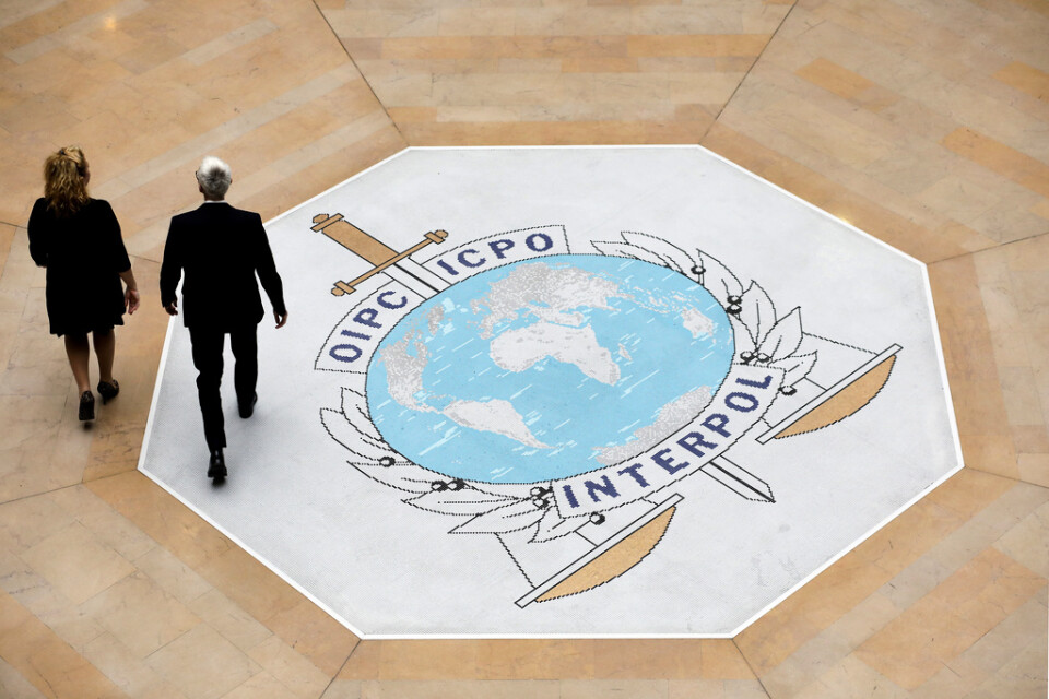 Storbritannien och USA hör till de länder som vill utesluta Ryssland ur Interpol.