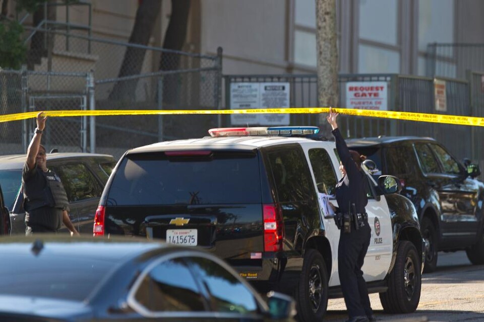 Två 15-åriga elever - en pojke och en flicka - har skadats i en skolskjutning i Los Angeles-området. En 12-årig flicka misstänks för dådet och har omhändertagits. Det är den senaste i raden av skolskjutningar i USA, och har blåst nytt liv till den långl