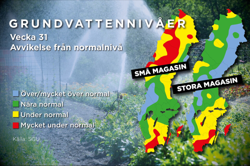 Grundvattennivåerna i Sverige vecka 31.
