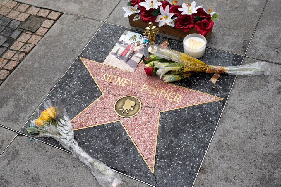 Blommor har placerats på Sidney Poitiers stjärna på Hollywood Boulevard i Los Angeles.