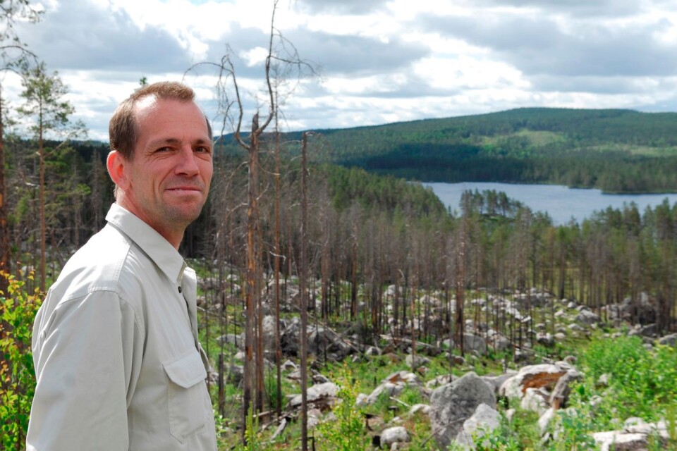 , naturvårdschef Sveaskog: ”Sedan ekoparken invigdes har nu naturvårdsåtgärder utförts på hundratals hektar för att bevara och stärka den biologiska mångfalden i Hornsö.”