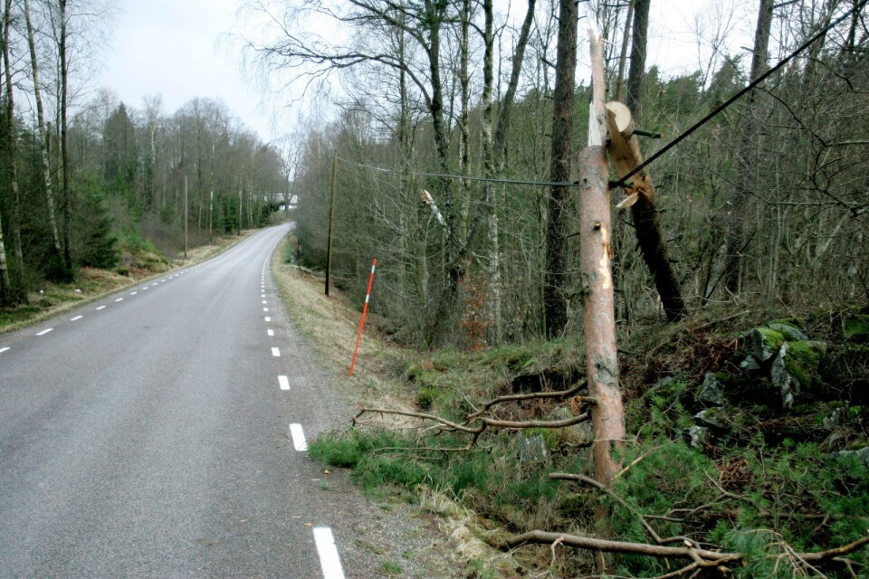 Under tisdagen sprängde Vattenfall bort träd som fallit över elledningar kring Dalum och Blidsberg. Bilden är en genrebild.