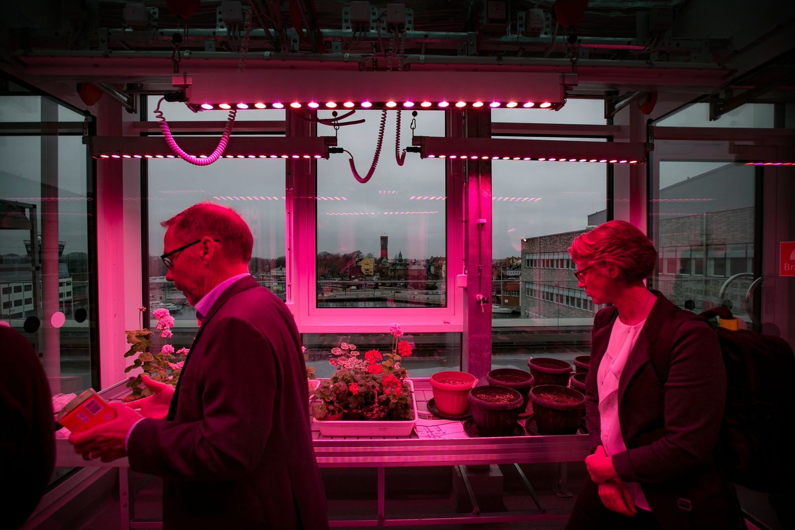 Linnéuniversitetets vicerektor Bo Bergbäck och huvudprojektledare Christel Olsson i ett av växthusen högst upp.