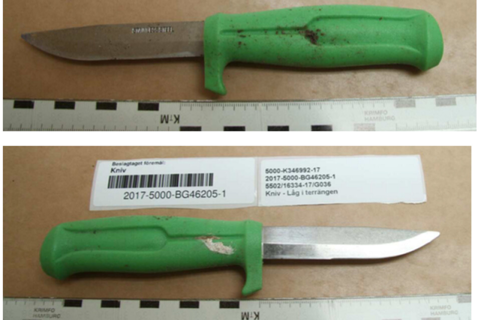 En av de upphittade knivarna som var i fokus under rättegången om mordet på Hässleholmen 22 mars.