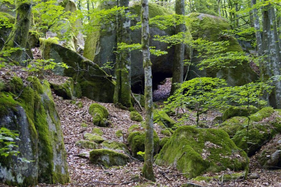Grottan i Brantåsa omnämns av fornforskaren Gunnar Olof Hyltén-Cavallius. Här bodde en fredlös på 1600-talet.