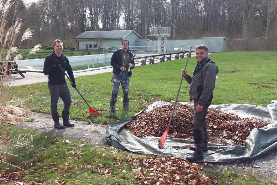 Daniel Halliday, Jens Olsson och Per Städe rensar bort löv och skräp