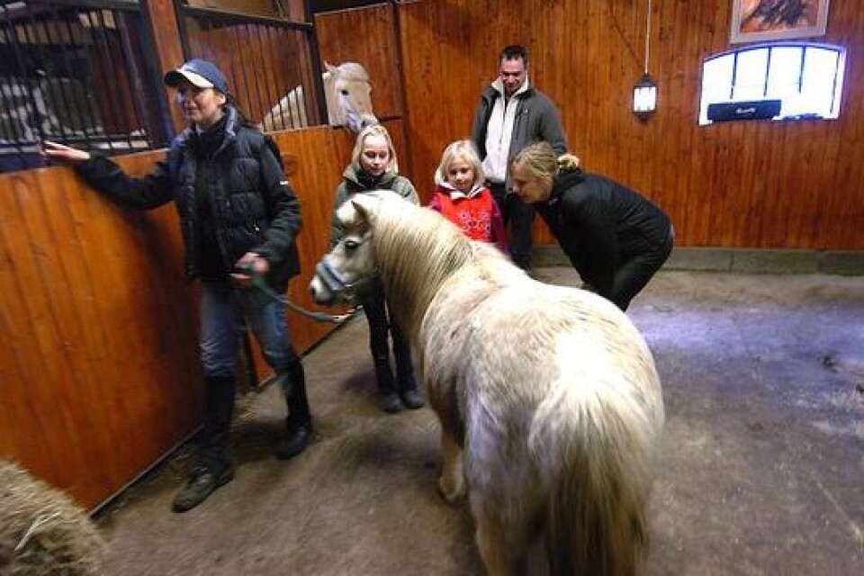 Jeanette Karlsson visar up Popcorn för familjen Pettersson som ska hyra två hästar i sommar.