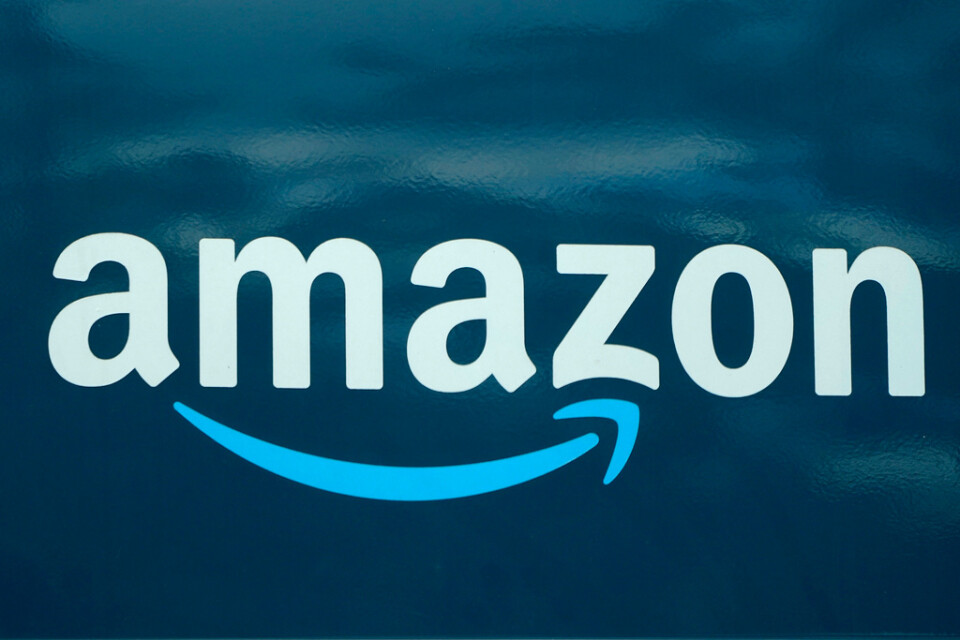 Näthandelsbolaget Amazon hör till bolagen som steg mest på USA-börsen under fredagen. Arkivbild.