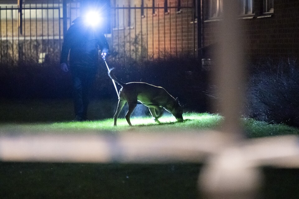 Polis med specialsökhund arbetar innanför avspärrningarna efter ett misstänkt mordförsök i Söderkulla i Malmö på fredagskvällen.
