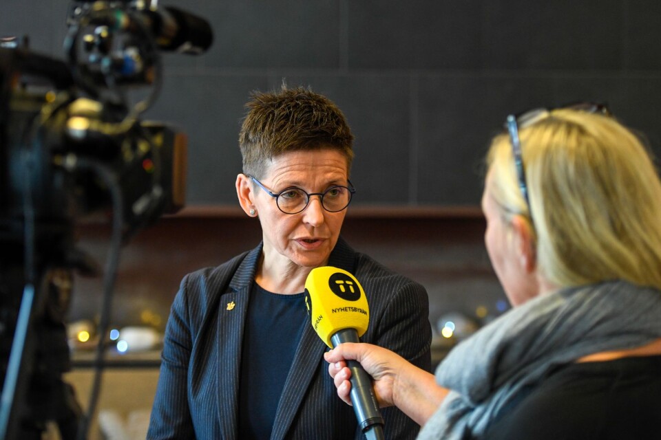 S-politikern Ann-Sofie Hermansson hade rätt att kalla personer för extremister.