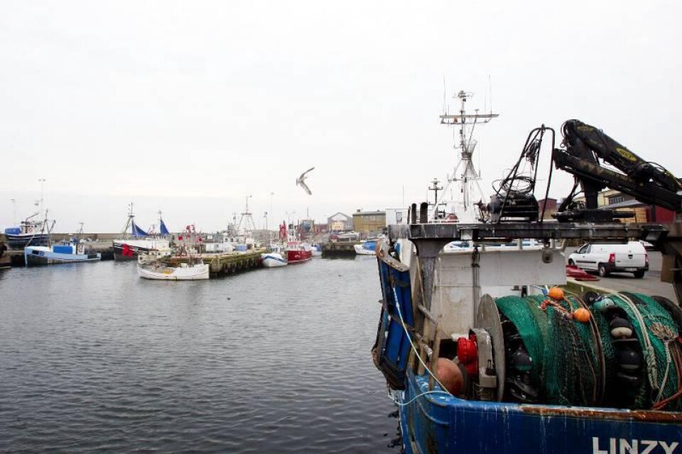 Fiskeflottan har halverats. På 20 år har ungefär hälften av båtarna försvunnit från Simrishamns hamn. När fiskeflottan var som störst låg båtarna in dubbla rader utmed kajerna.