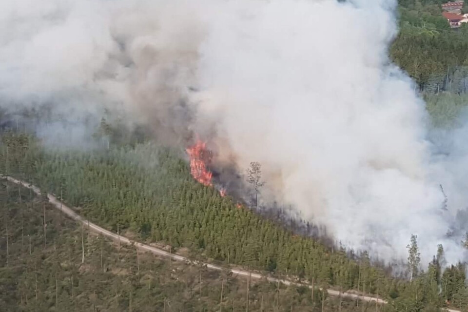 Skogsbranden härjar i nordvästra Nybro kommun och in i Kronobergs län.