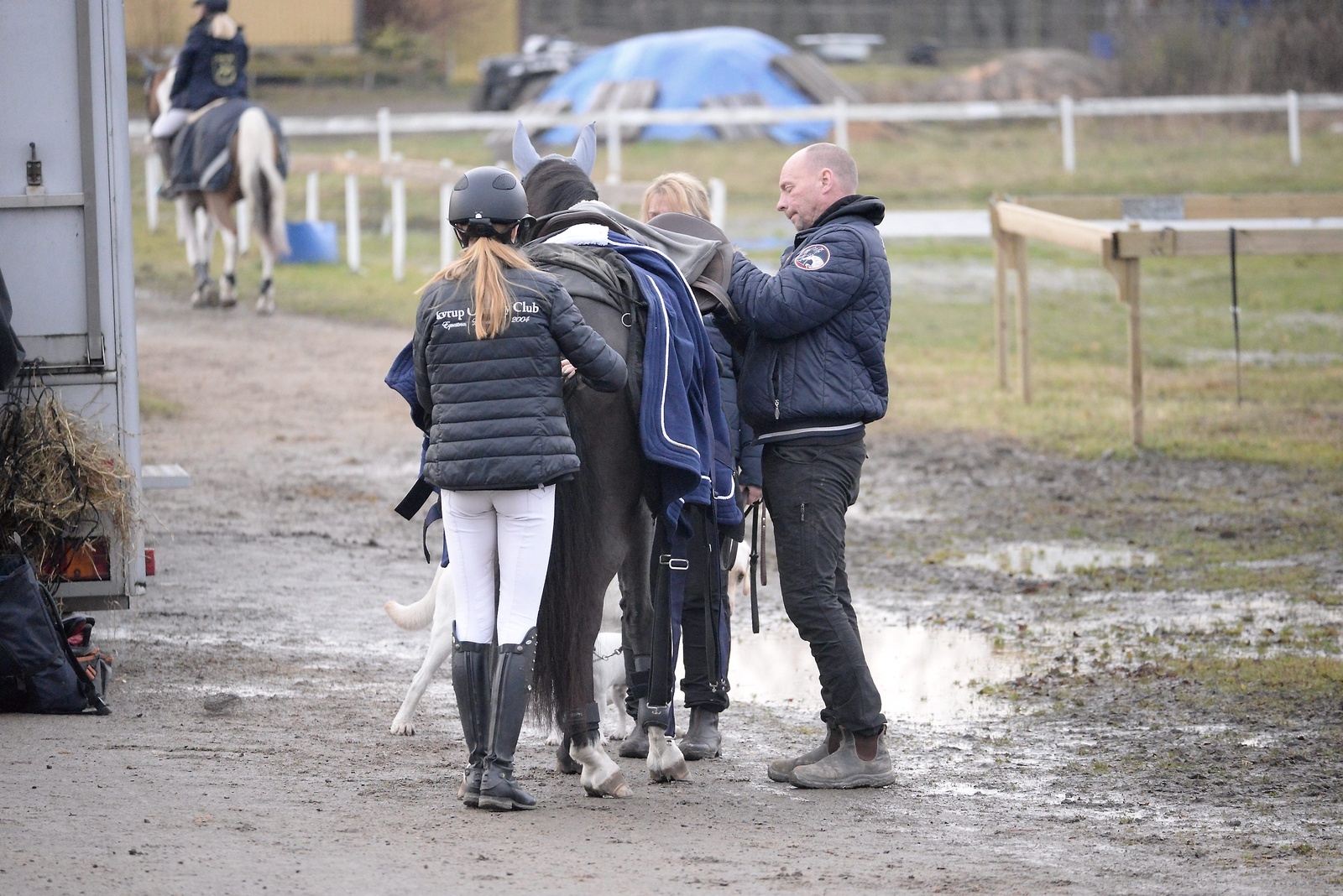 Stephanie Magnusson får hjälp av pappa Magnus att göra i ordning en av hästarna hon hade till start i helgen.
Foto: Robert Rolf
