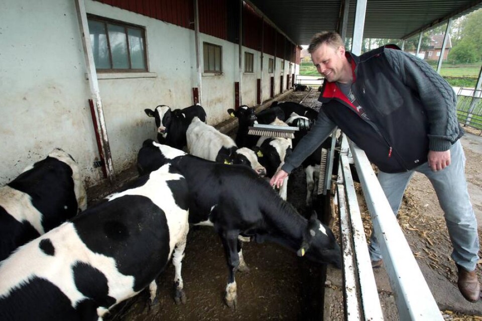 Johan Åhlund har bland annat köttproduktion på sin gård. Att gå ut och titta till kalvarna för att förvissa sig om att de mår bra tillhör de dagliga sysslorna på gården.Foto: Anders Johansson