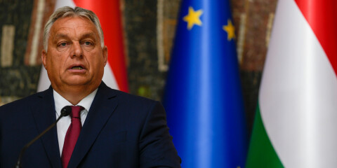 Ungerns premiärminister Viktor Orbán har fortfarande inte gett grönt ljus till Sveriges Natoansökan. Arkivbild.