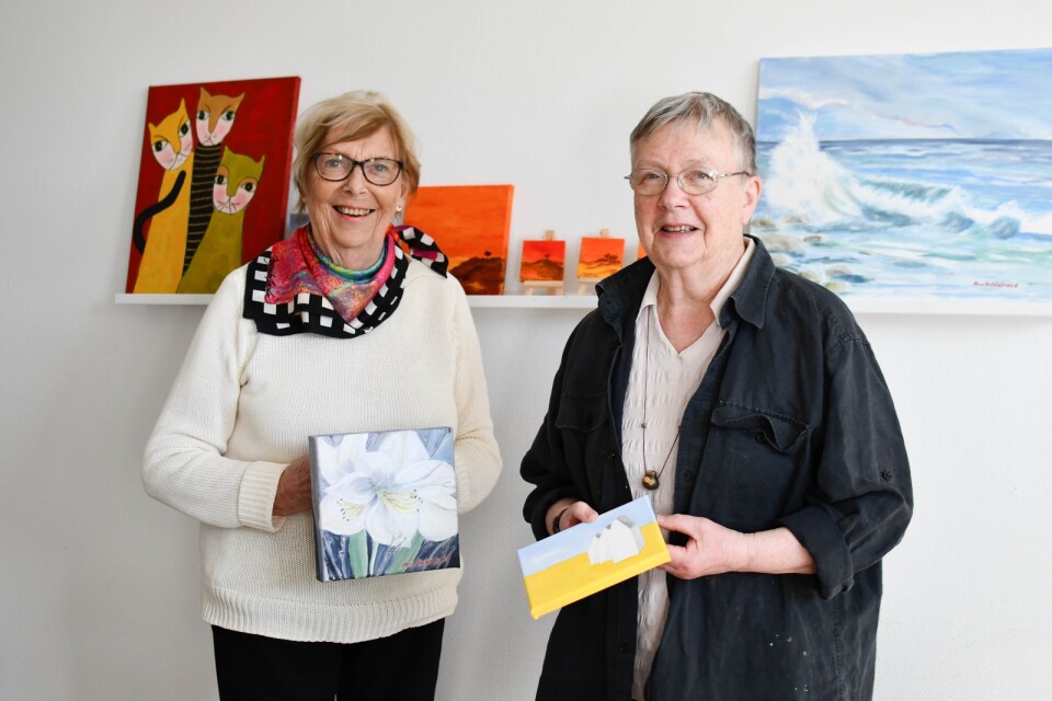 Ann Dahlstrand och Ulla Axén är två av tolv deltagare i målarcirkeln Penseldraget. En grupp som funnits i många år och som varmt välkomnar fler målarentusiaster.