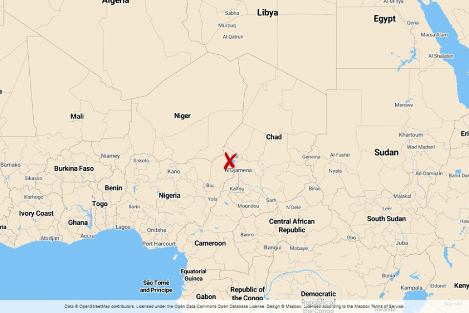 Minst tio civila har dödats i en attack mot en by vid Tchadsjön, vid gränsen mellan Tchad, Nigeria och Kamerun.