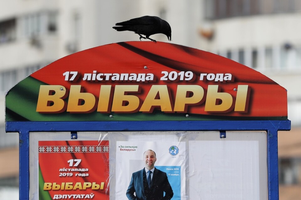 Flera organisationer varnar för att valfusk har förekommit i Vitryssland.