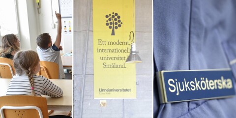 De som pluggar till lärare och sjuksköterska stannar i Växjö