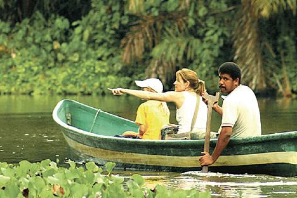 Äventyrskänslan tätnar när kanoten glider genom Tortugueros djungel. En resa till Costa Rica kan vara som att återuppleva barndomens Tintin-drömmar.