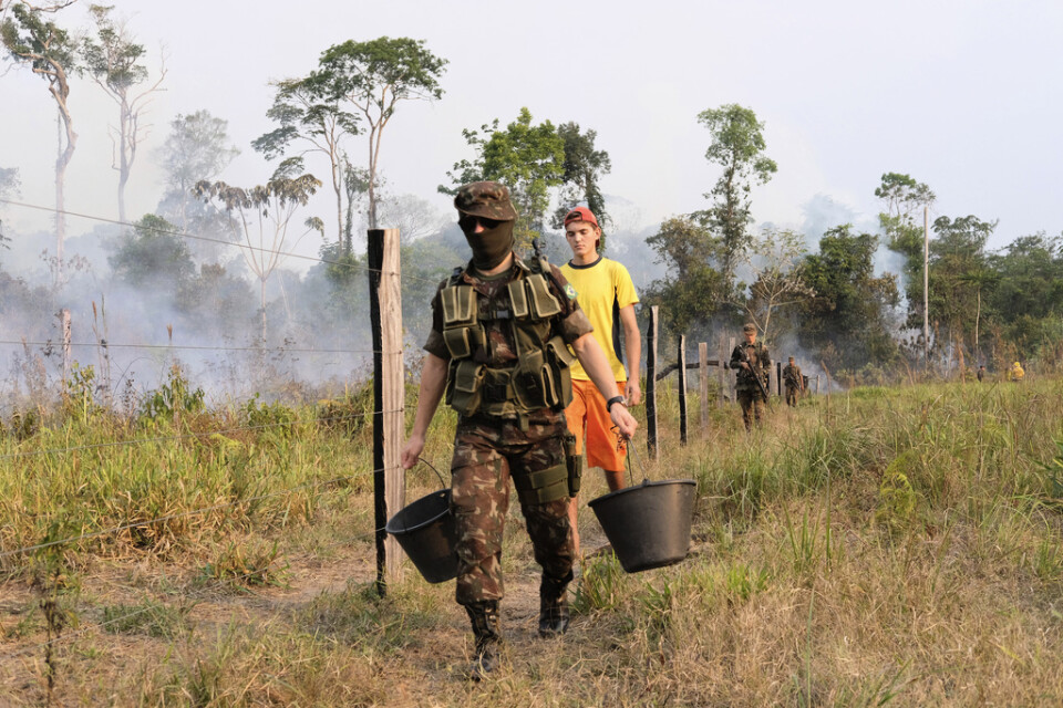 Militärer bistår i släckningsarbetet i den brasilianska delstaten Rondonia. Arkivbild från den 29 augusti.