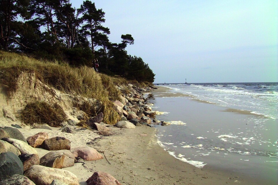 Stranderosionen äter upp delar av Skånes stränder. Många meter strand har försvunnit ut i havet.                               Arkivbild