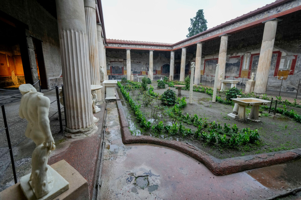 Pelare i dorisk stil omger gårdsplanen till Domus Vettiorum i Pompeji. Den nyligen restaurerade byggnaden öppnade för besökare i januari.