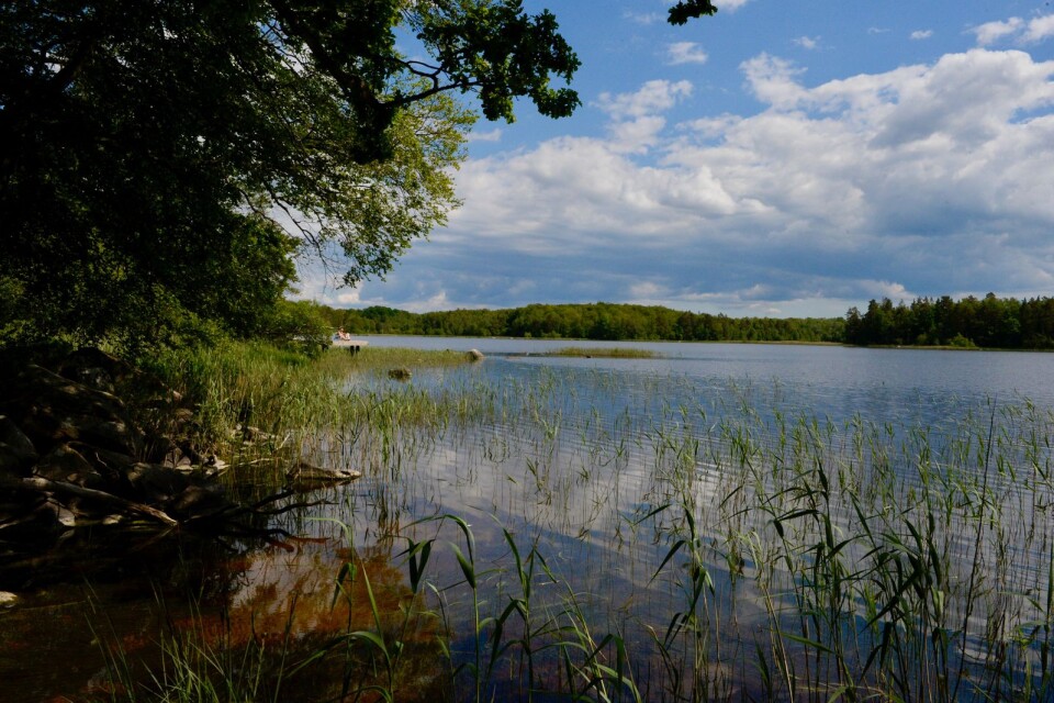 Åsnen nationalpark