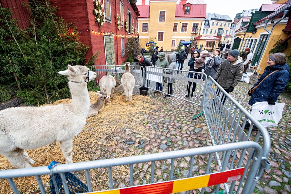 Bland arrangemangen i adventstider finns bland annat Karlskrona julmarknad.