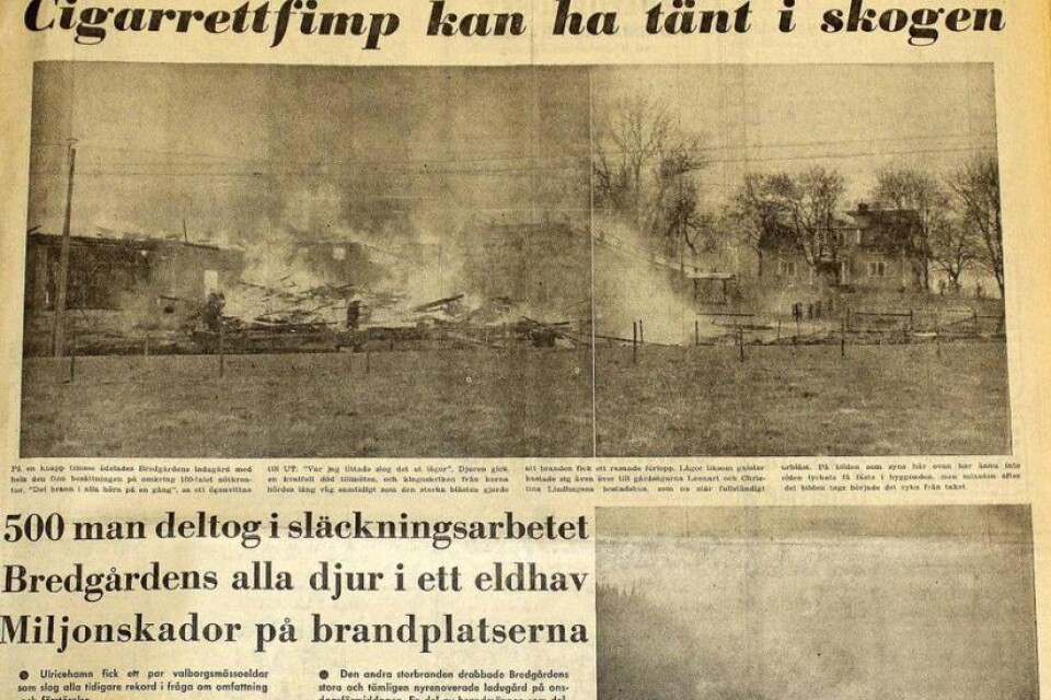 UT skrev om bränderna för 40 år sedan där 300 till 400 hektar skog gick upp i rök.