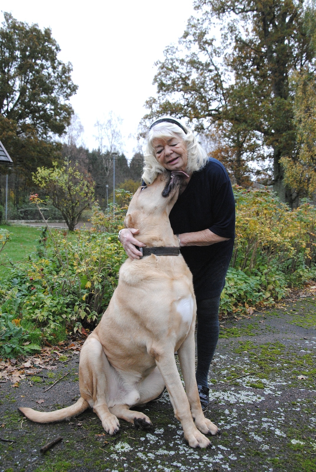 Birgitta Wesén har älskat hundar sedan hon var liten.
Foto: Håkan Jacobsson