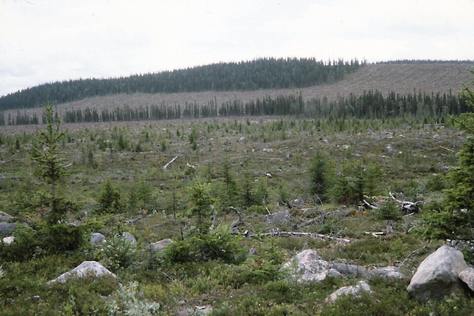 Skogsbruk i Sverige.